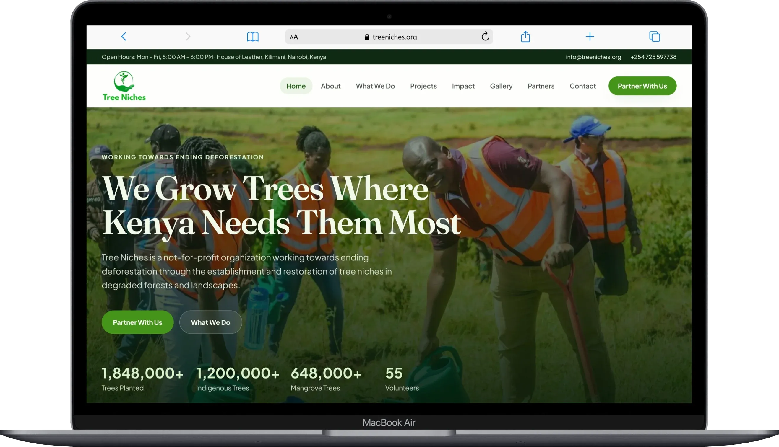 Tree Niches | Organization Website